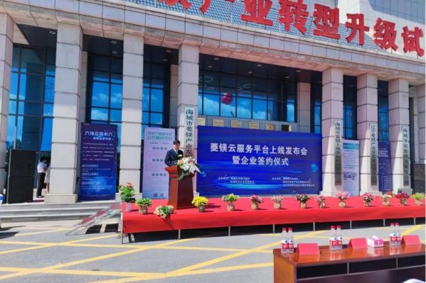 思特奇研发建设 | 菱镁产业数字化公共服务平台正式上线运行 图3