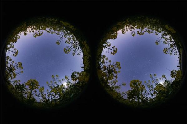 戴建峰应用EOS虚拟现实系统拍摄的星空(传感器原画面,未进行等距柱状投影)