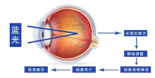 护眼“神器”13B1K3300,让阅读更舒适! 图5