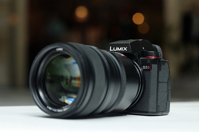 令人印象深刻的自动对焦性能,使用松下LUMIX S5M2拍摄宠物有感 图2