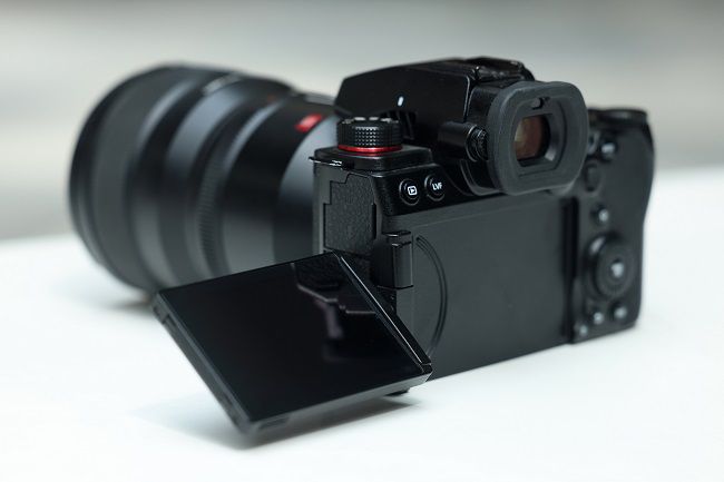 令人印象深刻的自动对焦性能,使用松下LUMIX S5M2拍摄宠物有感 图1