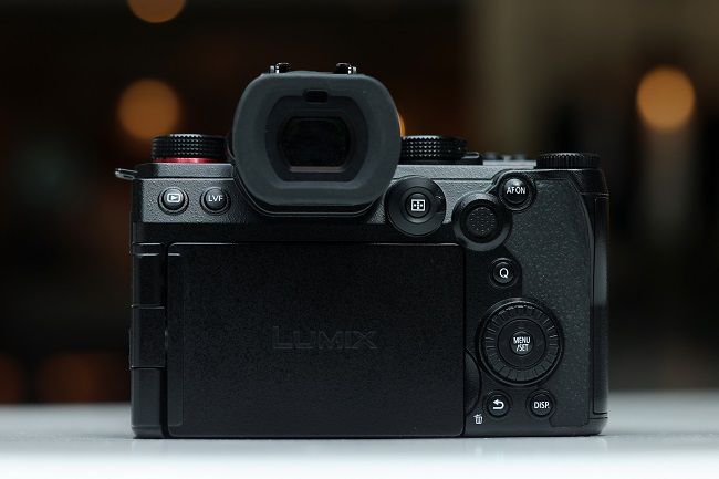 令人印象深刻的自动对焦性能,使用松下LUMIX S5M2拍摄宠物有感 图3