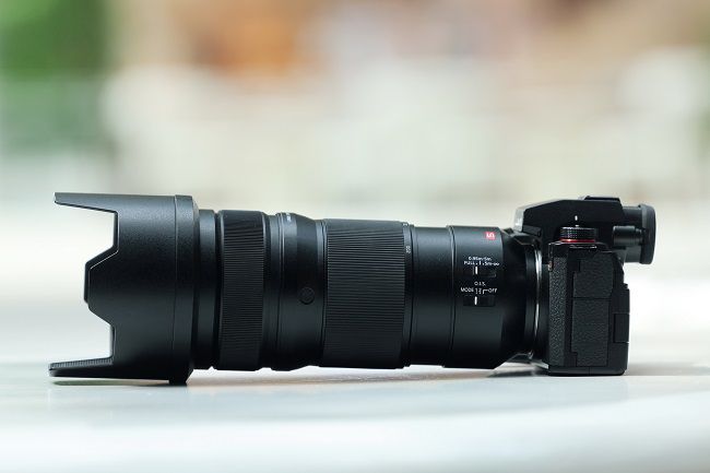 令人印象深刻的自动对焦性能,使用松下LUMIX S5M2拍摄宠物有感 图4