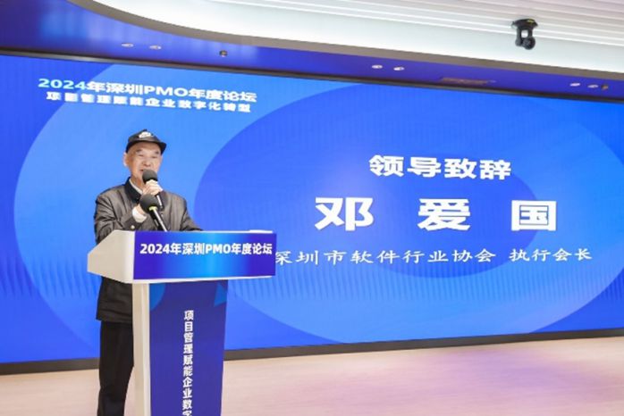 成功盛会:2024年深圳PMO年度论坛成功举行 图3
