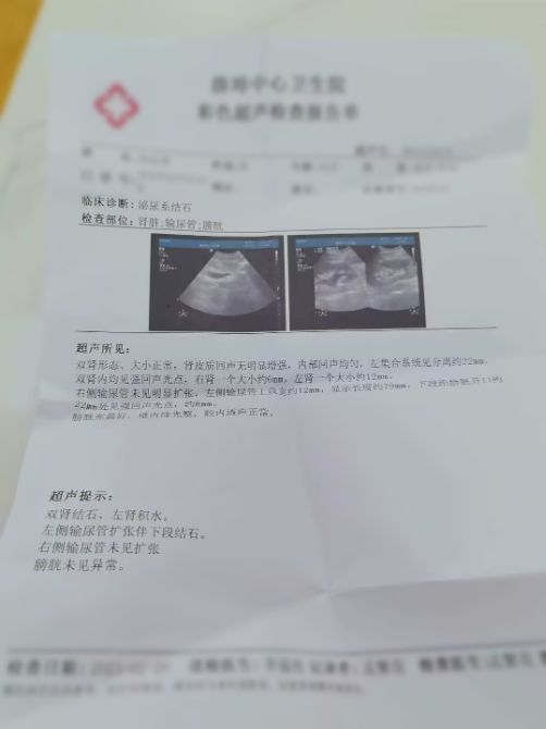 智诊科技“好伴AI”助力患者成功脱险，AI健康咨询技术获医疗界关注