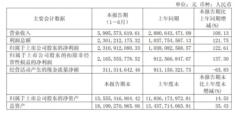 寒武纪上半年净利23亿元同比增123%:云端AI芯片贡献99.7%营收 图2