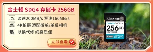 金士顿11.11预热大促开启 福利好价提前锁定 图12