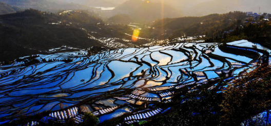 “七彩云南”闪耀全球,中智游助力云南旅游海外网络营销工作成效显著 图4